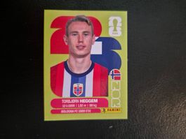 Panini WM 26 NOR 8