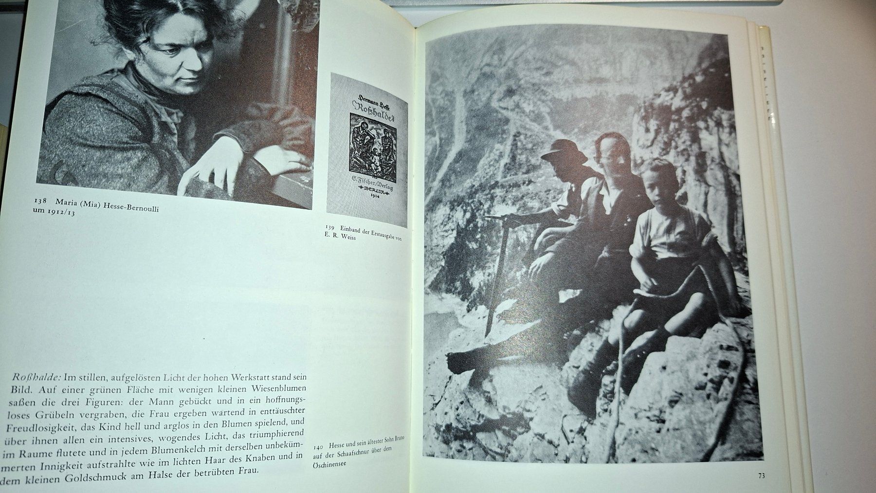 Bücher: Hermann Hesse - Eine Chronik in Bildern – Gebraucht aus Dietikon von Buchantiqdietikon 2