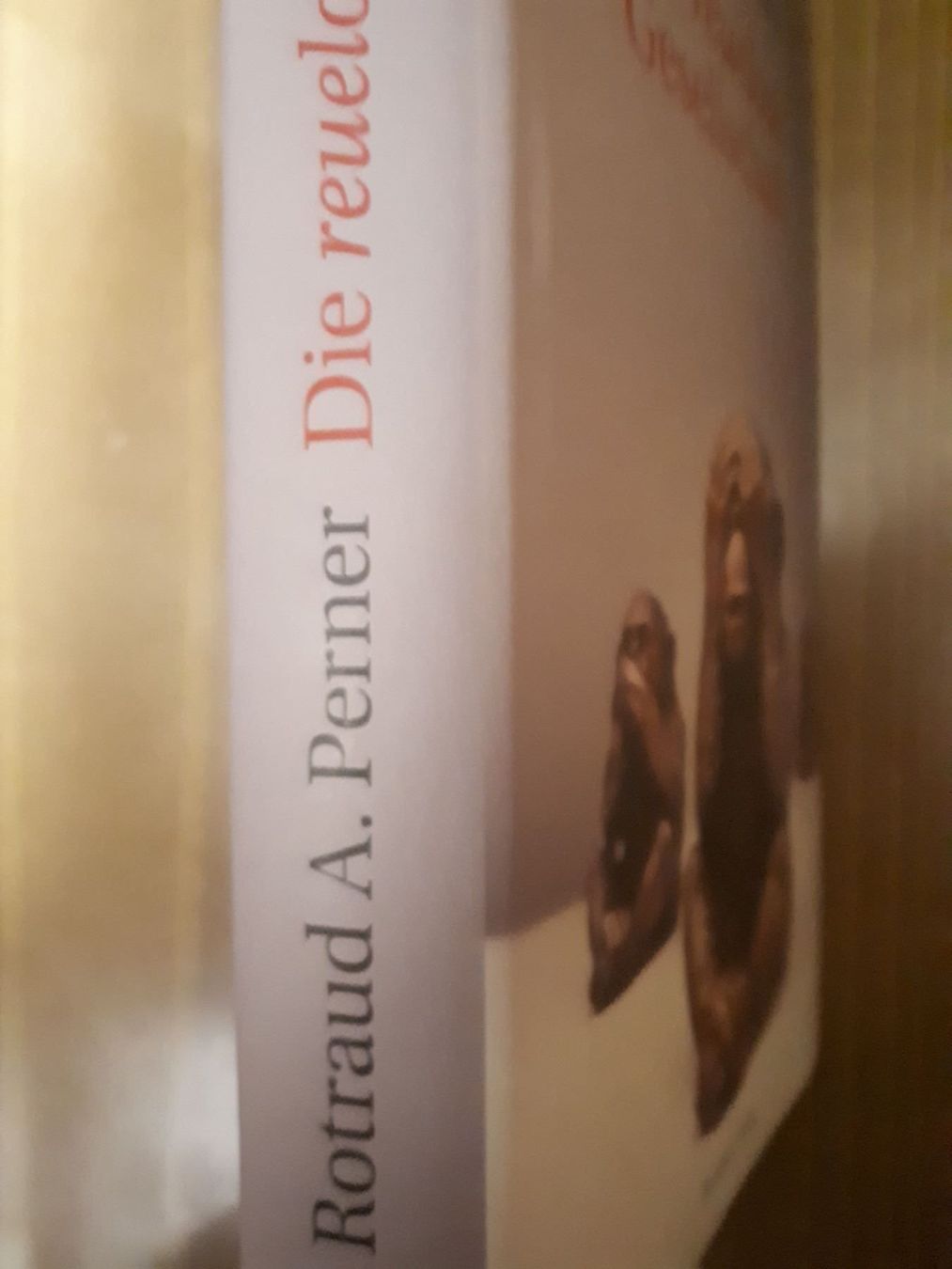 Livres: Rotraud A. Perner Die reuelose Gesellschaft – D'occasion à Basel par Alacant 1
