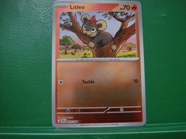 Carte Pokémon Litleo ENG    014/086
