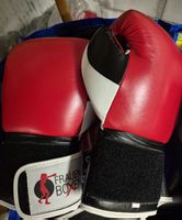 Boxhandschuhe in ausgezeichnetem Zustand 