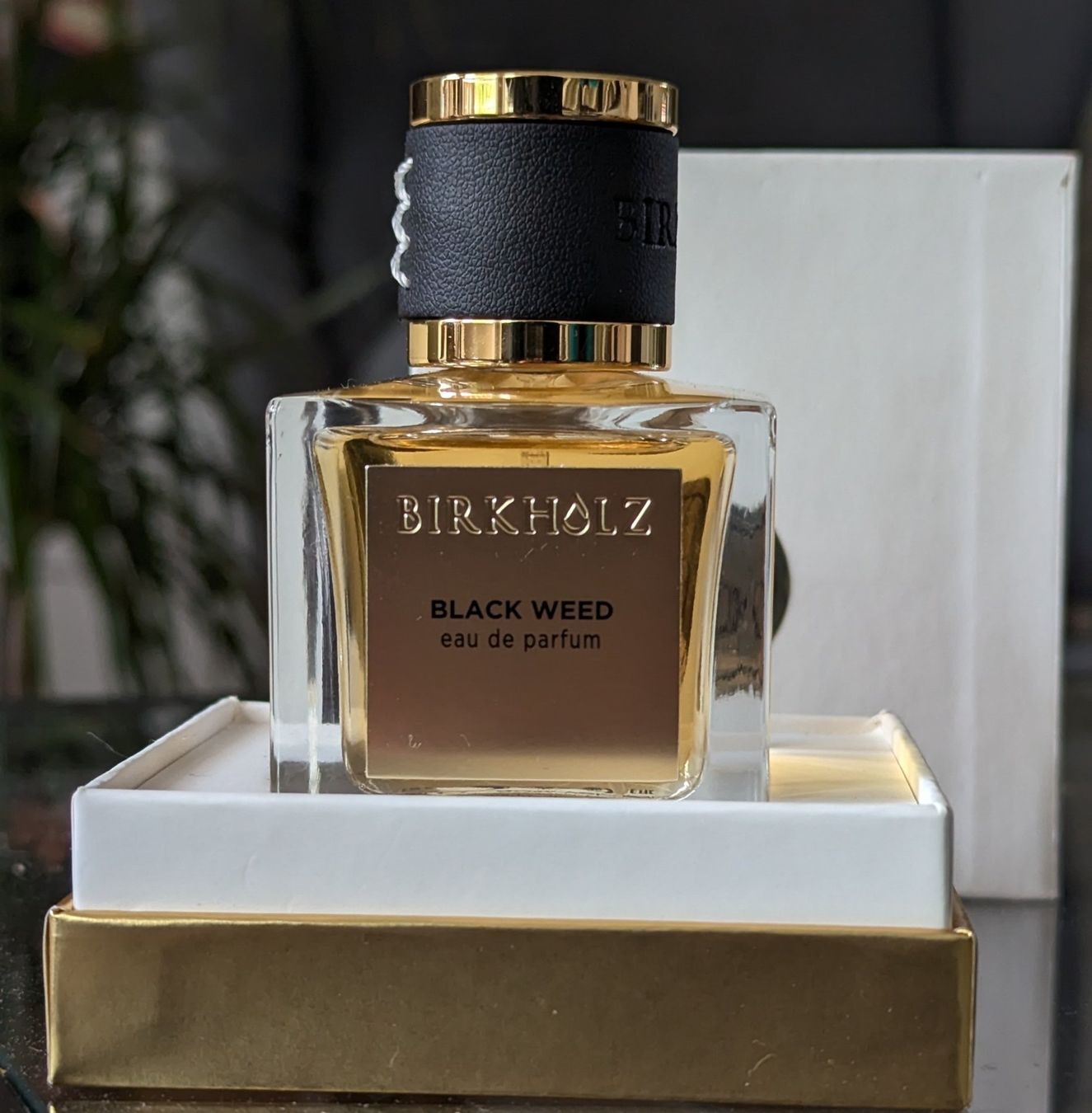 Profumi & Eau de Toilette: Birkholz Black Weed Parfüm 50ml – Nuovo (secondo la descrizione) da Zürich venduto da oschance