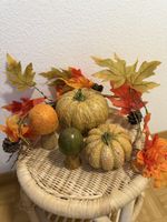 Herbstdeko Kürbisse und Pilze 4er Set Dekoration