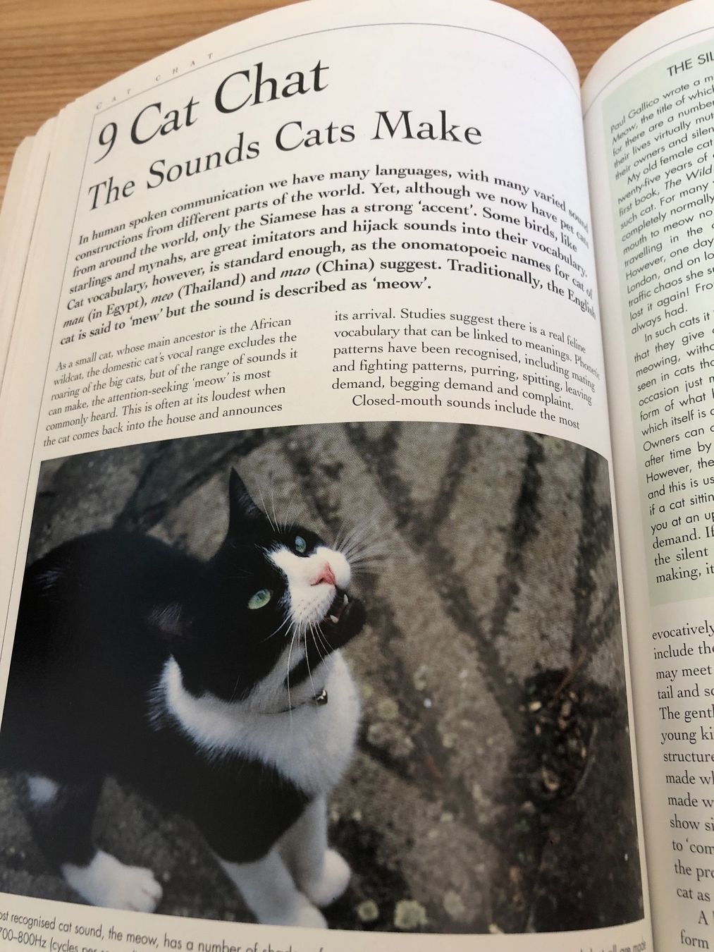 Bücher: „Understanding Cat Behavior“: Complete Feline Problem Solver – Gebraucht aus Zürich von Upippin 6