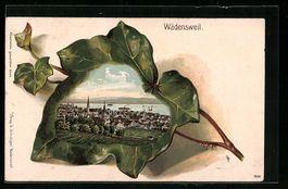 Litho Wädensweil, Ortsansicht mit Efeuz