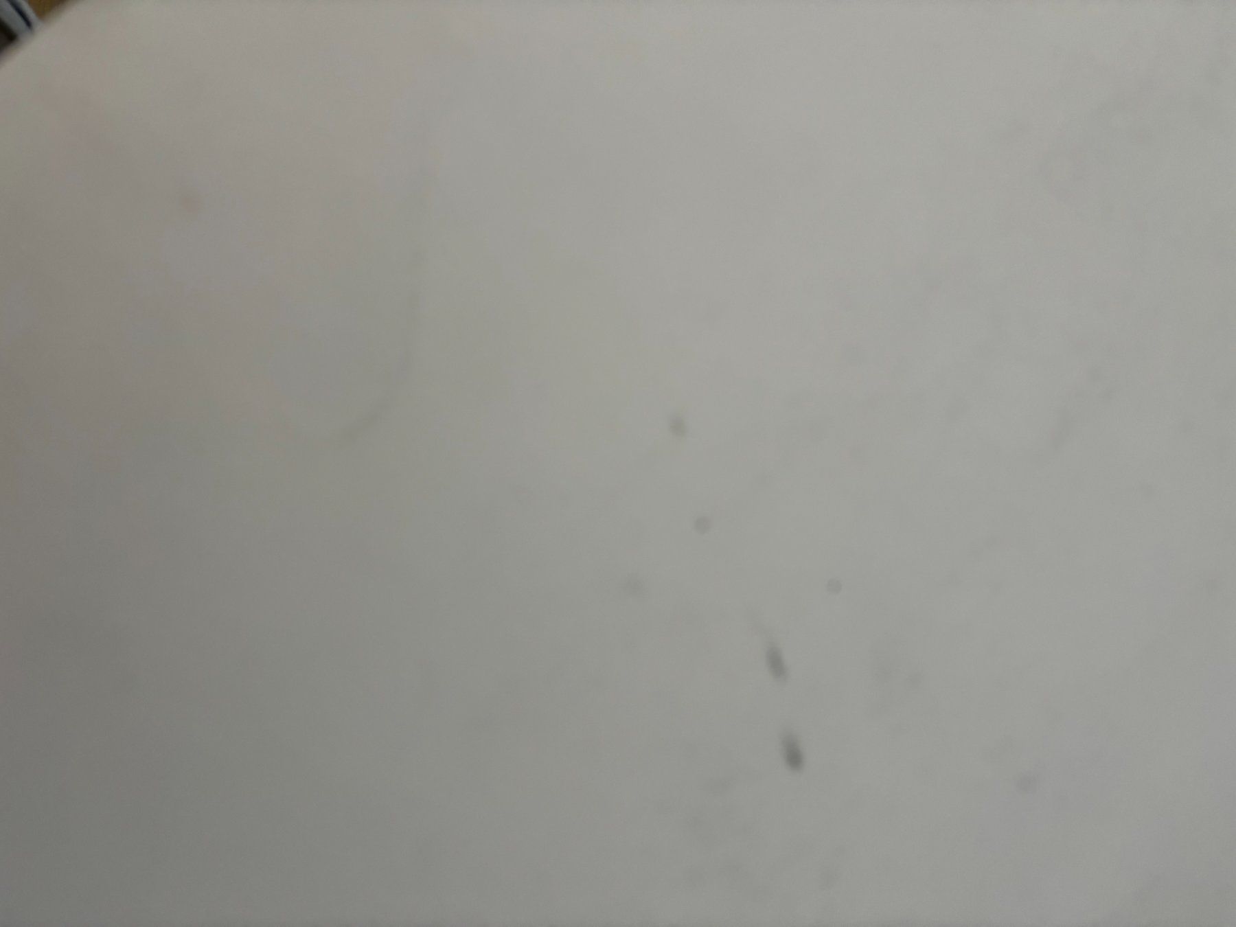 Foto & Immagini: Akt Bild   Echte Zeichnung Anonym – Usato da Zürich venduto da Nofelet31 4