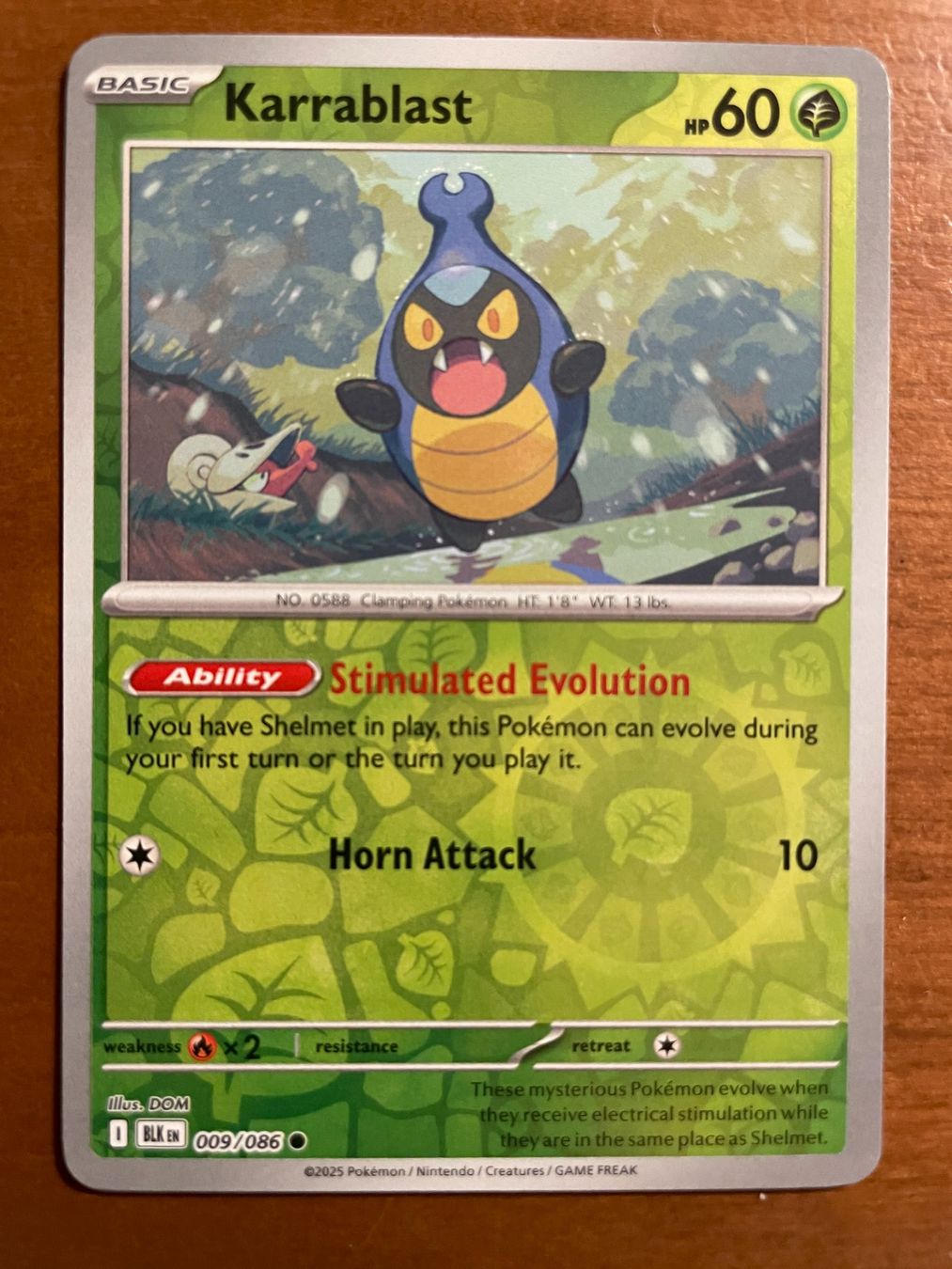 Pokémon Carte collezionabili: Pokemon Karrablast Reverse (Versand gratis) – Nuovo (secondo la descrizione) da Chur venduto da Angerson