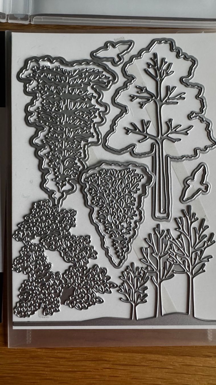 Stampin' up! Stempel: Stampin Up / Verschneiter Wald / A – Gebraucht aus Neukirch (Egnach) von muolen 3