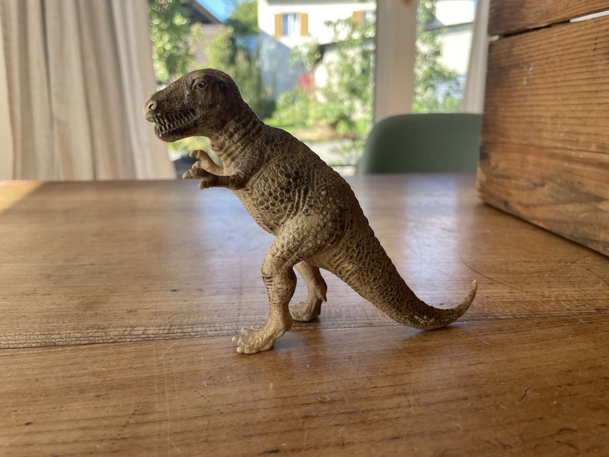 Schleich Giocattoli: Schleich T-Rex – Usato da Bonstetten venduto da soleillle 1