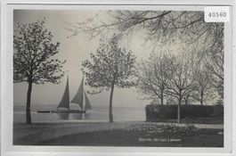 Bords du Lac Leman - Segelschiff