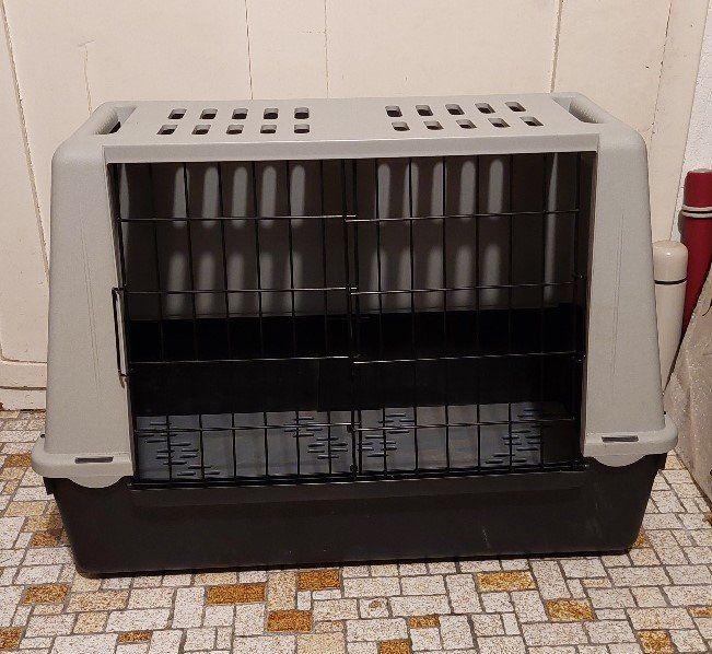 Cucce & Letti: Tiertransportbox – Usato da Zufikon venduto da brocki5621