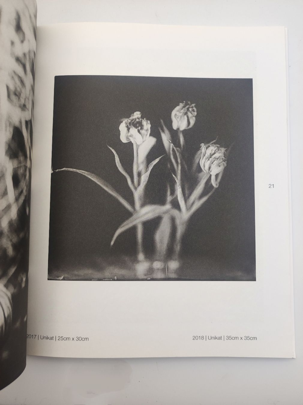 Libri: PHOTOBOOK - STEFFEN DIEMER – Nuovo (secondo la descrizione) da Goldach venduto da Gaip