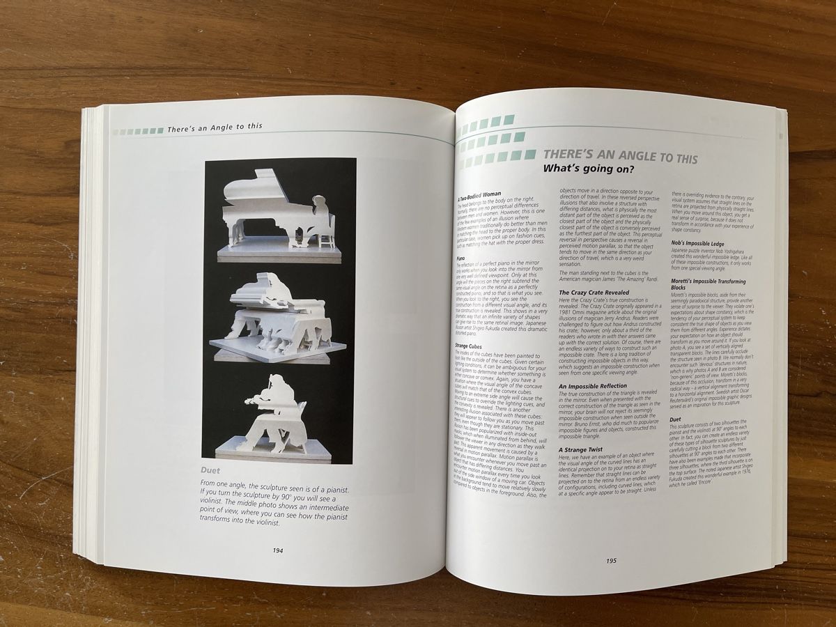 Libri: Incredible Visual Illusions, Al Seckel, Top Zustand! – Usato da Bad Zurzach venduto da Cookie_0619 8