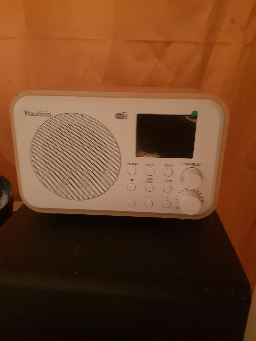 Radio: Audizio Radio – Nuovo (secondo la descrizione) da Zihlschlacht venduto da Sun25