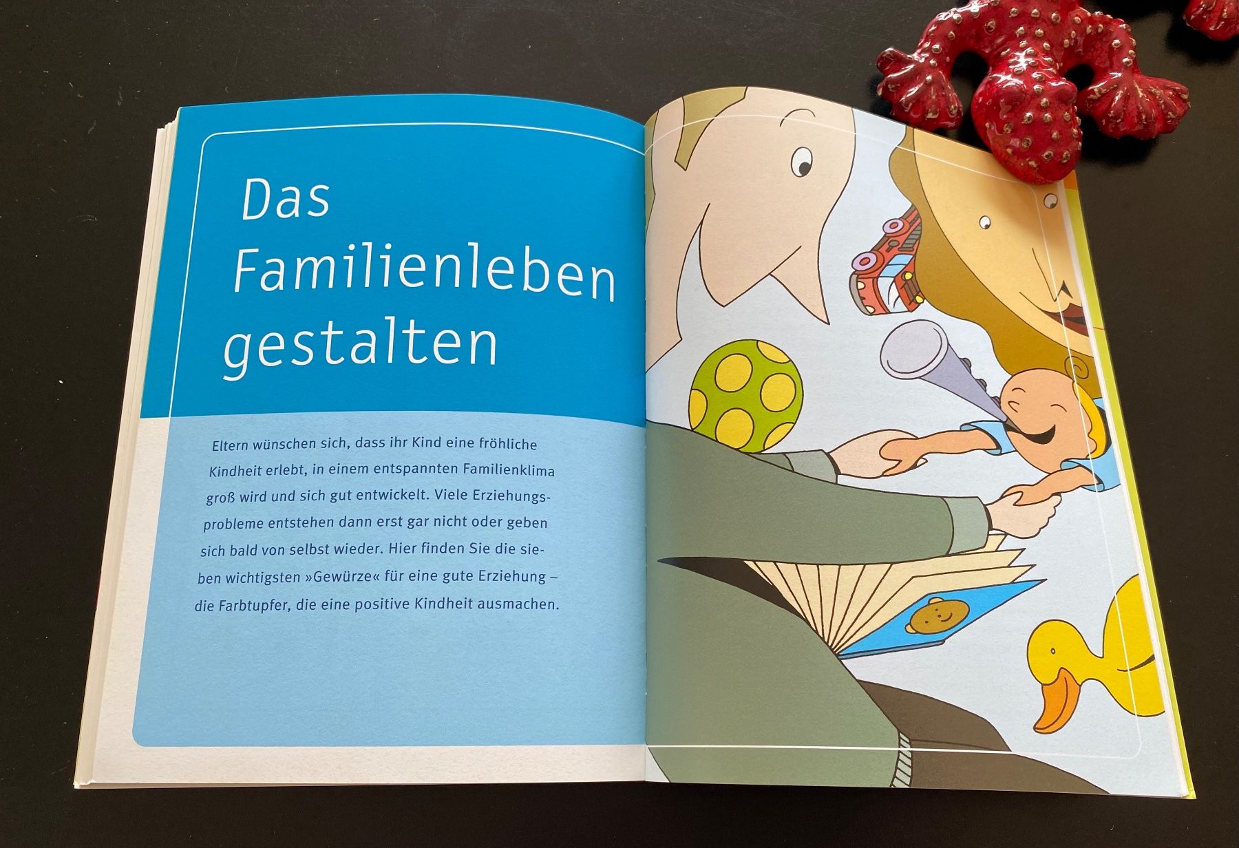 Libri: DER ELTERN FÜHRERSCHEIN – Usato da Nussbaumen AG venduto da schuba2000 5