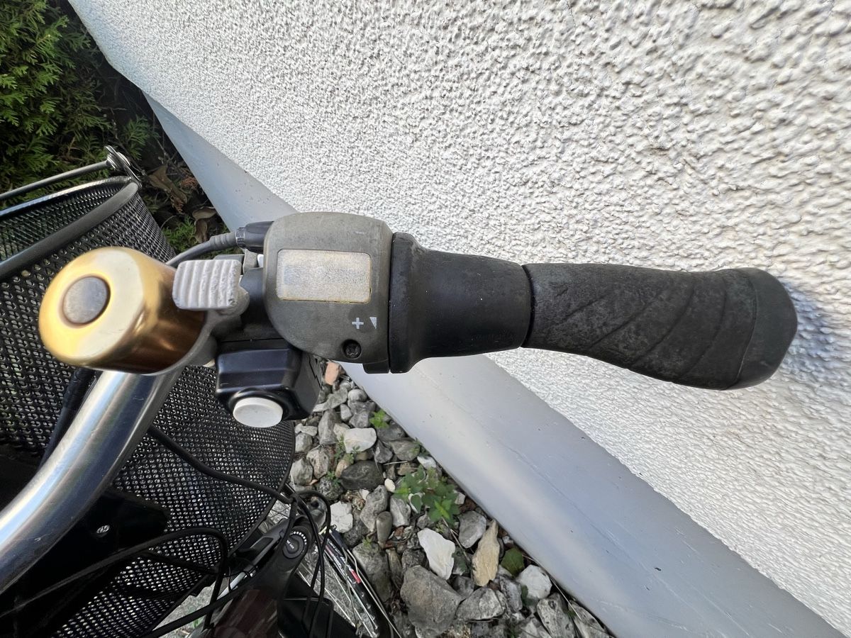 Flyer Velos: Flyer e-bike – Gebraucht aus Rümikon AG von Tati72 3
