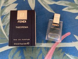 Miniature Fendi Theorema