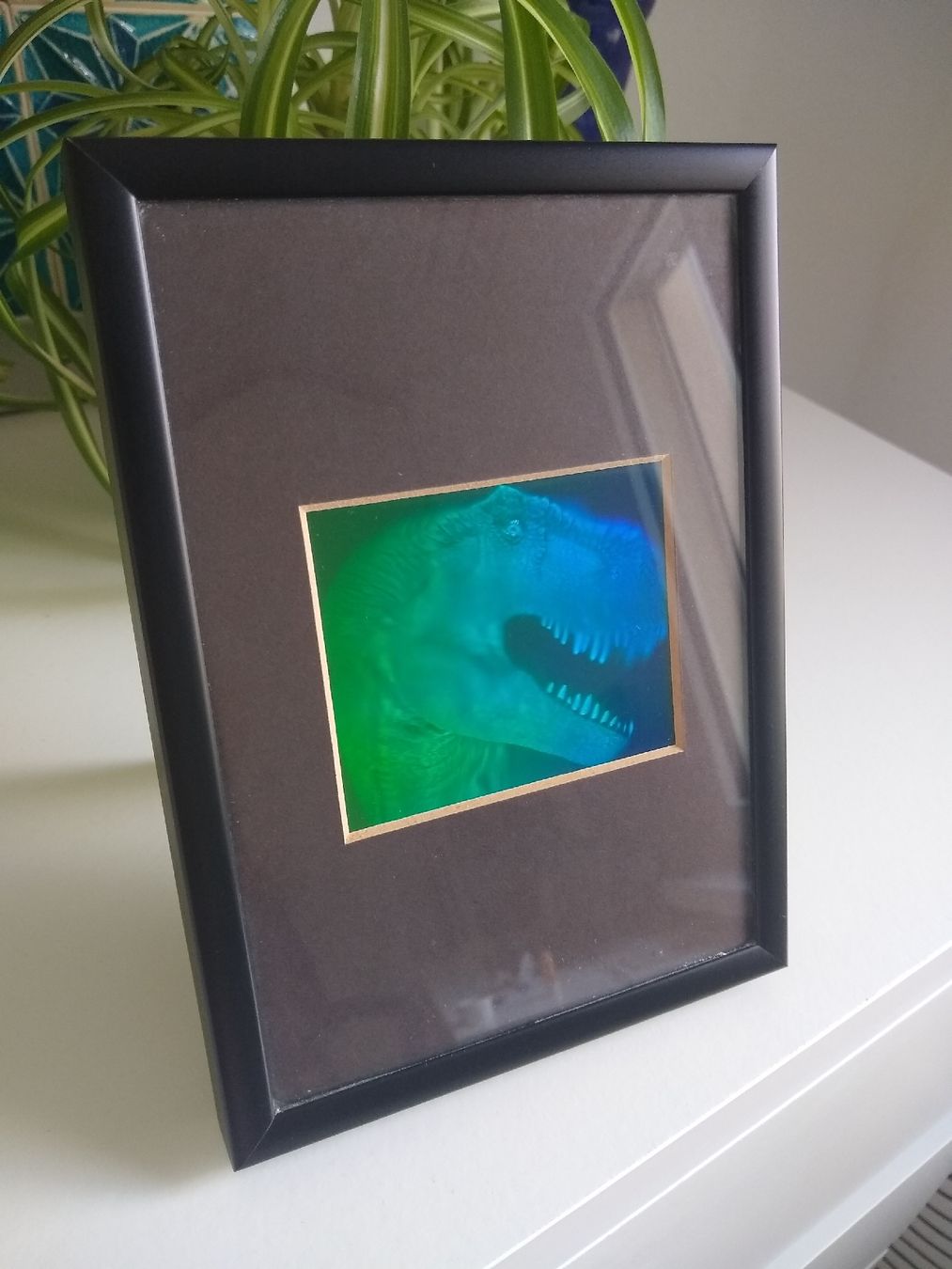 Alle Dekorationen: Dinausor frame picture – Gebraucht aus Dübendorf von LoRi-2026