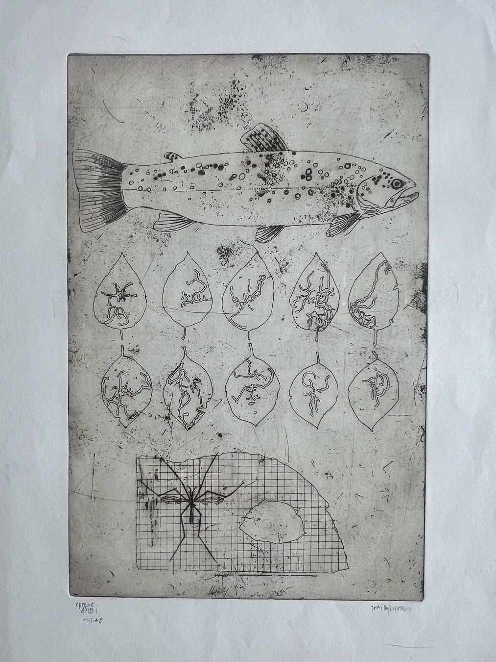 Grafica & Litografie: Konvolut: 20 handsignierte Originalrafiken – Usato da Rain venduto da Pic-Ass 2