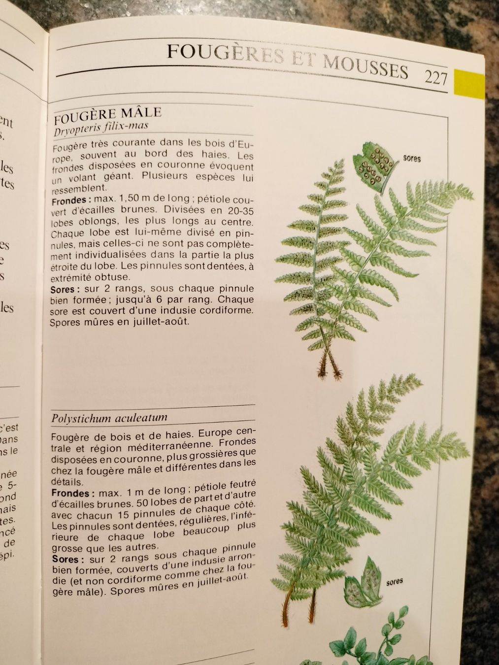 Libri: La vie des plantes – Usato da Cortaillod venduto da rozinna 8