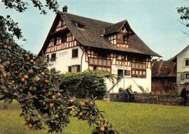 Meilen, Restaurant Burg