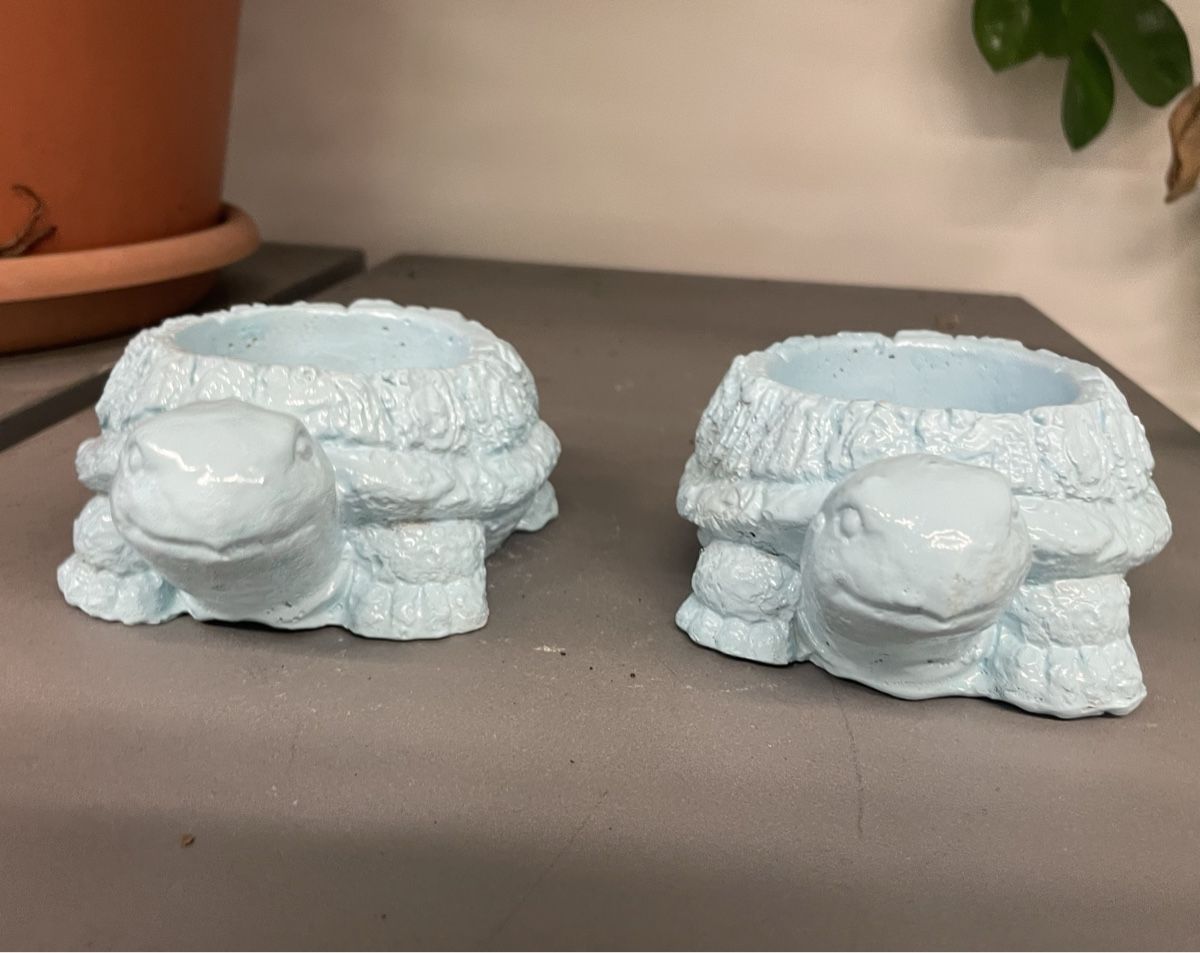 Blumentöpfe: 2 Süesse Schildkröten Blumentöpfe 🐢💙 – Neu und originalverpackt aus Au ZH von  1