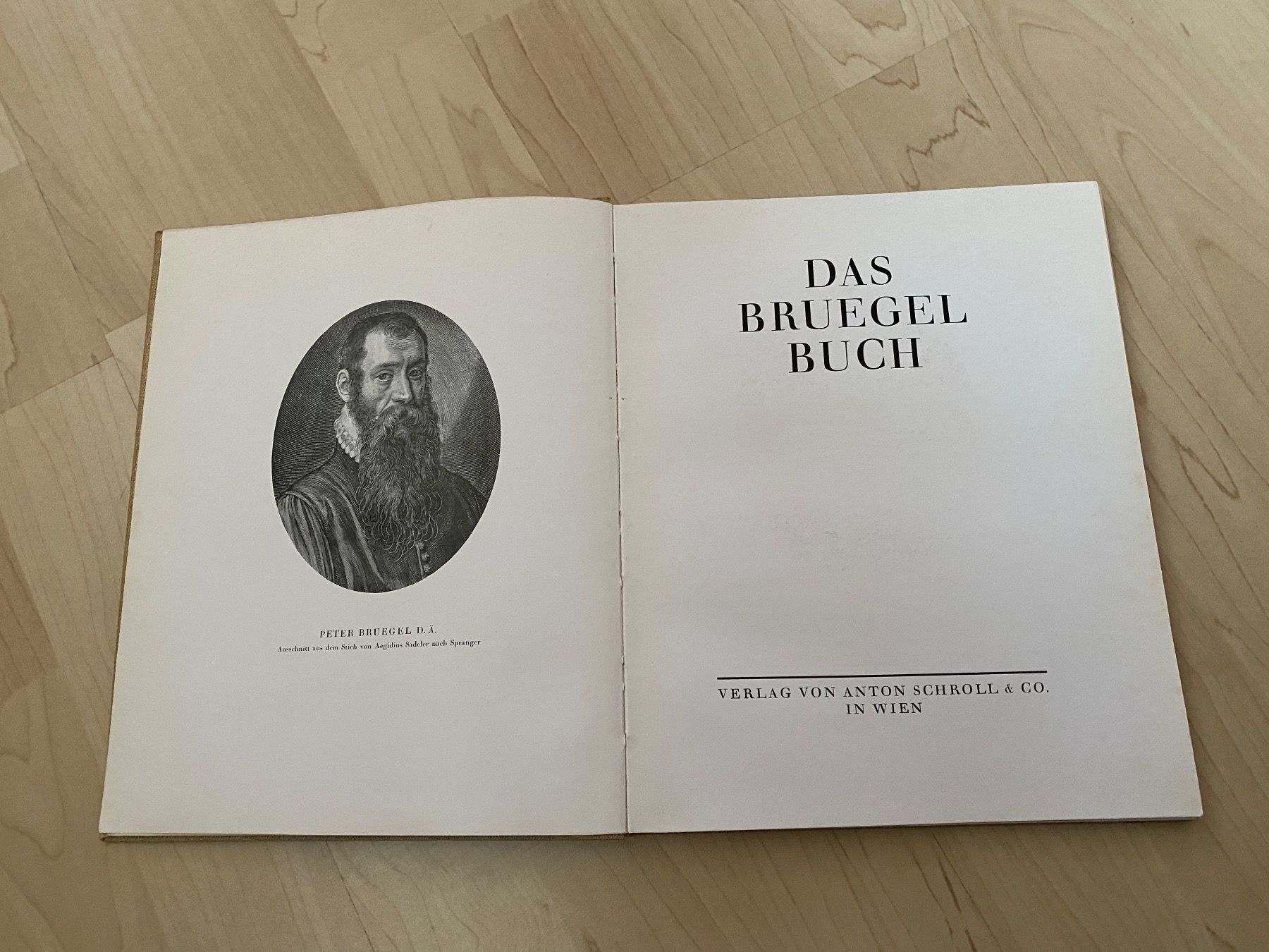 Libri: Das Bruegel Buch – Usato da Luzern venduto da Harikan 1