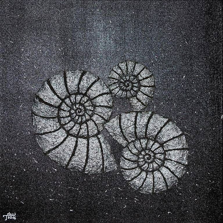 Dipinti: Acrybild Ammoniten – Usato da Romanshorn venduto da Besan