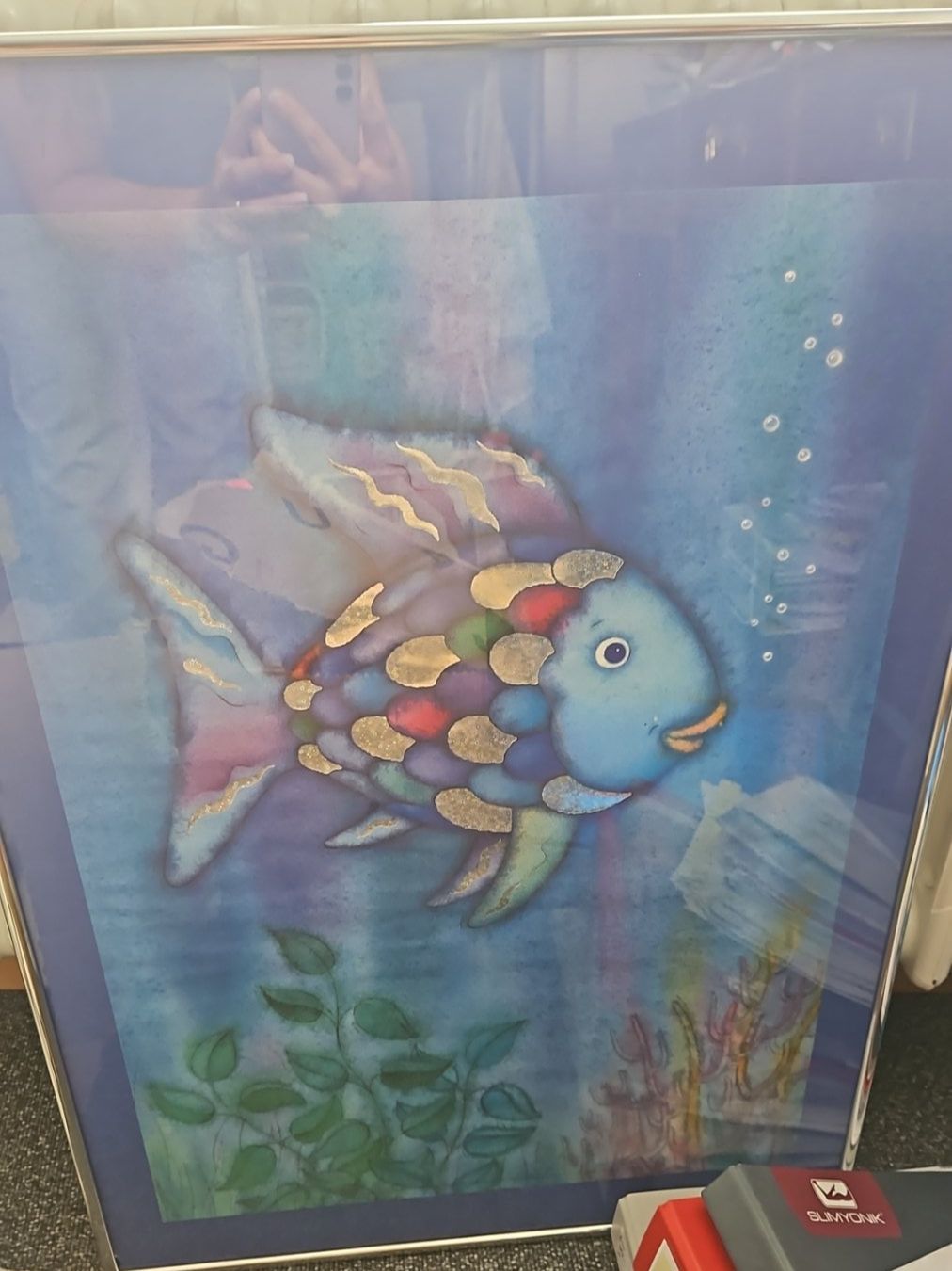 Foto & Immagini: Regenbogenfisch 2 Bilder – Usato da Frauenfeld venduto da Jewells-Child