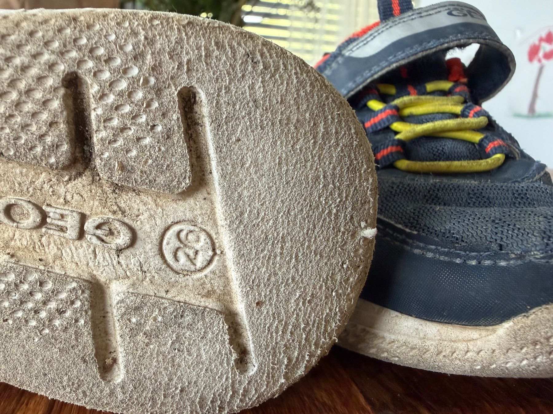 Geox Schuhe für Jungen: Geox 26 – Gebraucht aus Schlieren von gor_jgx7 5