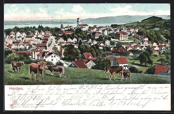 Cartoline postali: AK Heiden, Blick über die Dächer, 1914 – Usato da Berlin venduto da bartko-reher