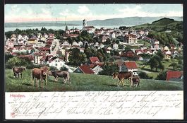 AK Heiden, Blick über die Dächer, 1914