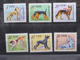 DDR 1976 Hunderassen **