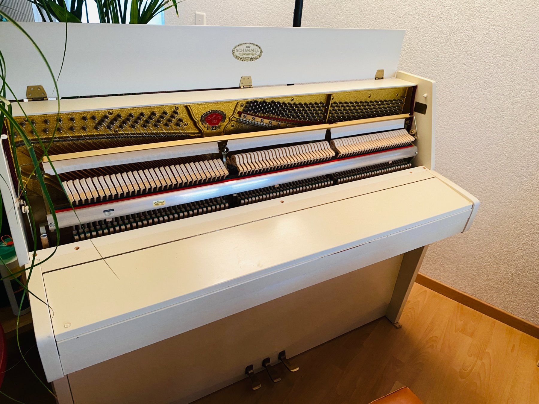 Strumenti musicali: Klavier Schimmel, Nr. 236'505 – Usato da Kestenholz venduto da happyeverafter 2