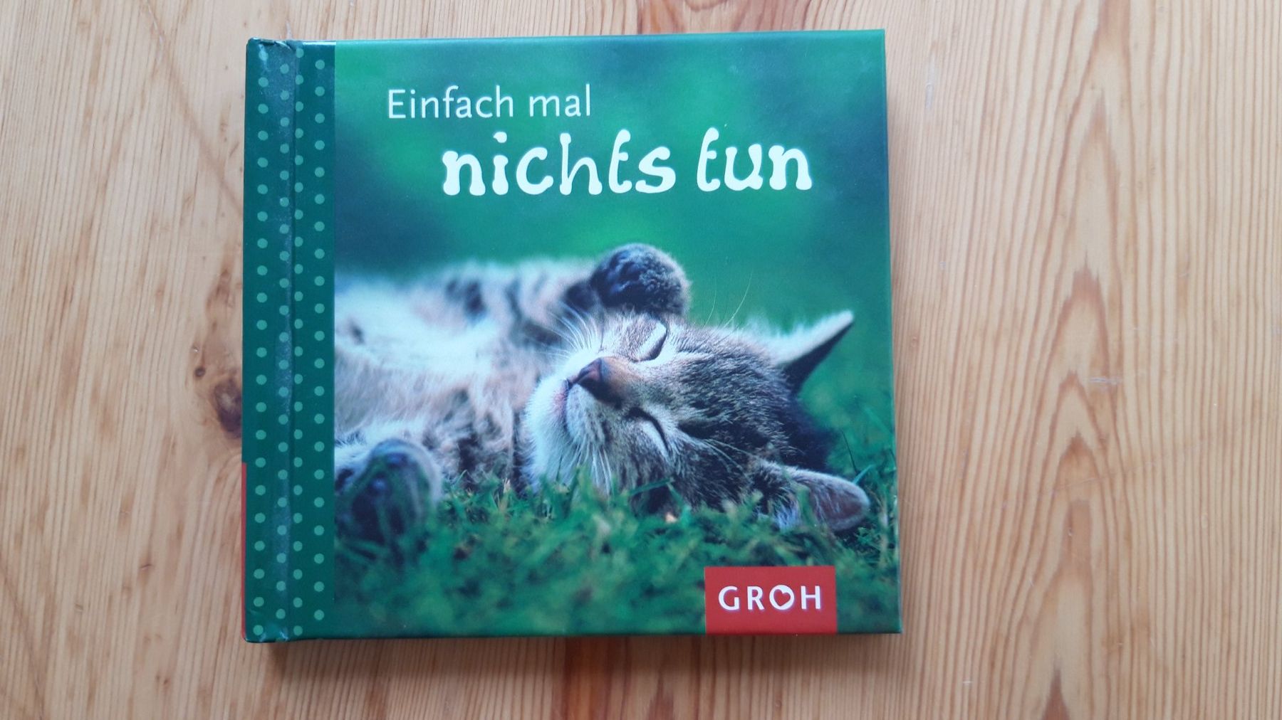 Bücher: Geschenkbuch "Einfach mal nichts tun" mit süssen Katzen – Neu (gemäss Beschreibung) aus Neuchâtel von marevecor