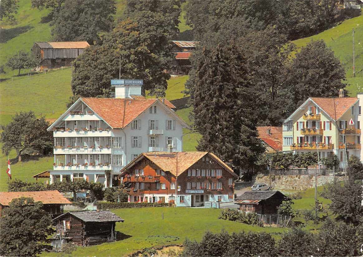 Cartoline postali: GRUSS vom SILBERHORN - alte BERNER Ansichtskarte – Usato da Winterthur venduto da SchatzchischtliWinti