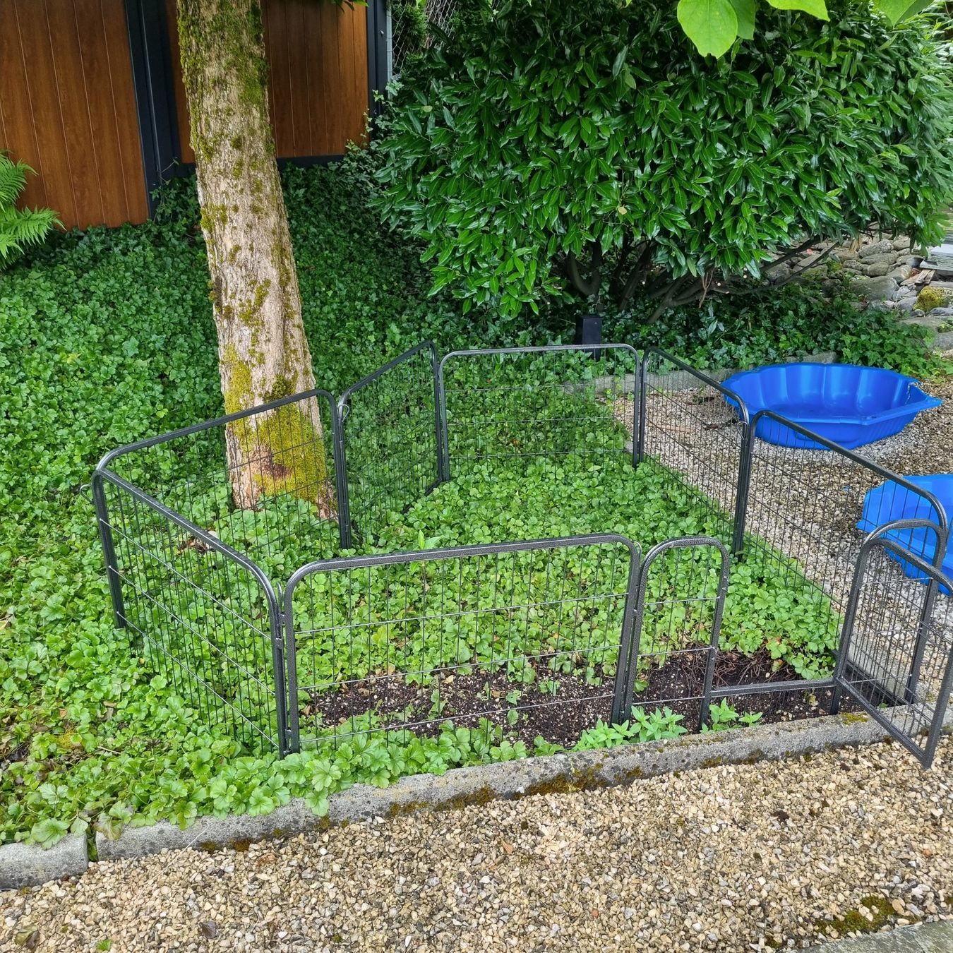Box & Barriere di sicurezza: Welpengitter  für draussen – Usato da Wilen b. Wollerau venduto da Goldyv 4