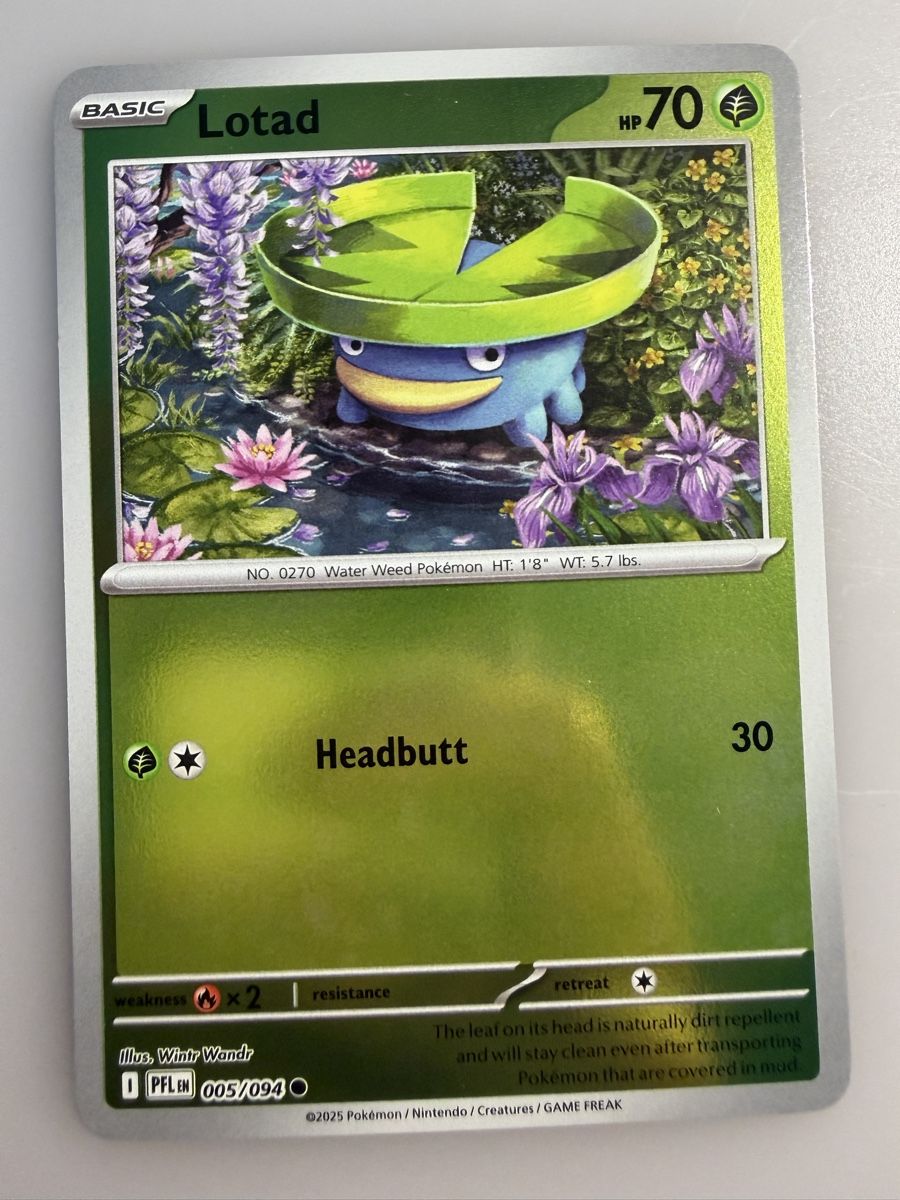 Pokémon Carte collezionabili: Lotad (PFL005) – Nuovo (secondo la descrizione) da Vevey venduto da Matx