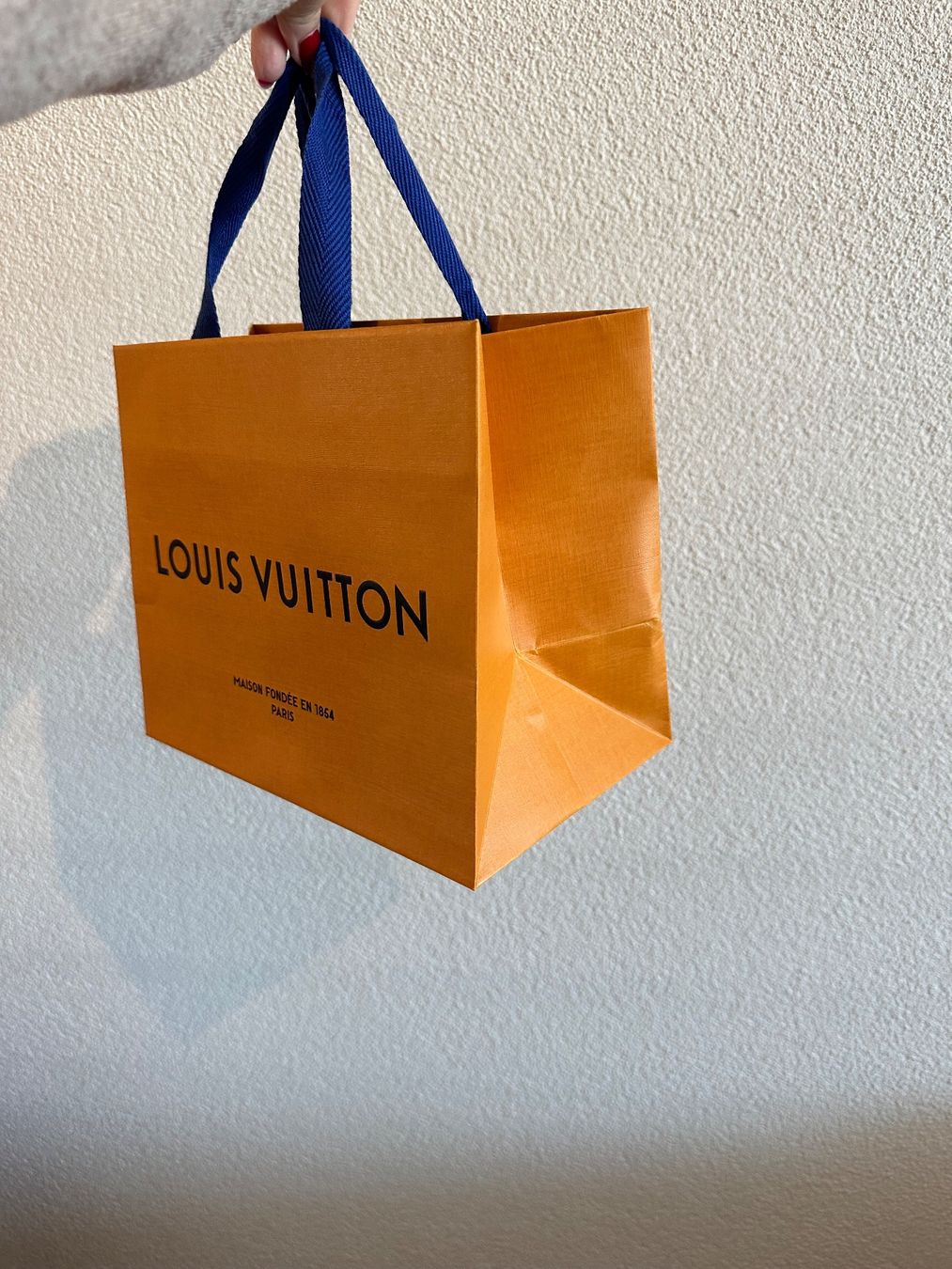 Louis Vuitton Taschen: Louis Vuitton Tragetasche klein - NEU! – Neu und originalverpackt aus Pfäffikon SZ von ansyyy 1