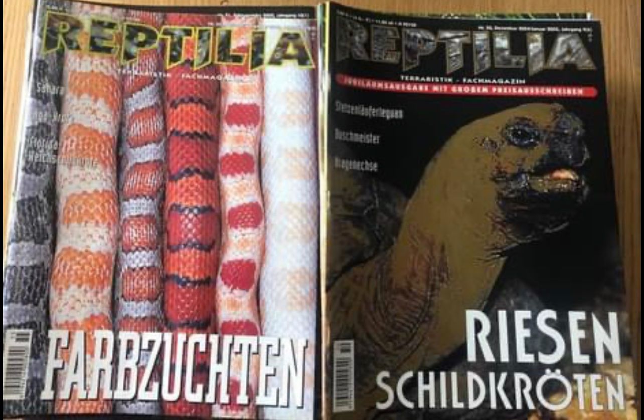 Terrariums: Reptilen Magazine – D'occasion à Aarburg par Acid84