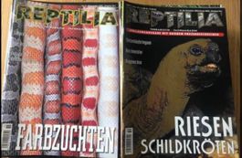 Reptilen Magazine