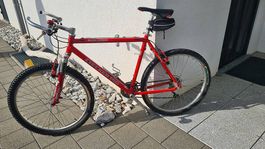 Stylisches Retro-Bike Checker Pig in rot