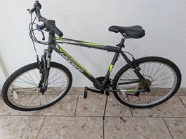 Leopard Velo