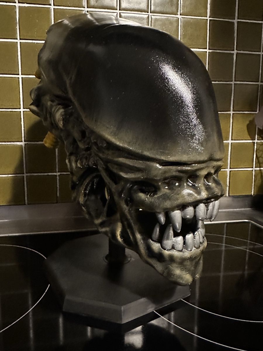Sculture & Statue: Alien Büste Alien vs Predator Giger not Sideshow Hot Toys – Usato da Schlieren venduto da Moviepropde 1