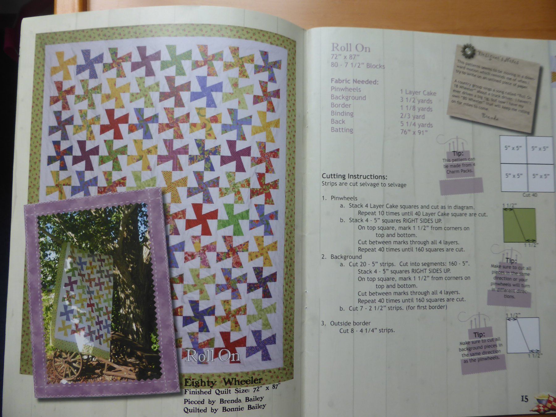 Libri: Patchwork Quilts - Layer Cake - Piece of Pie – Usato da Brunnadern venduto da lesezirkel 1