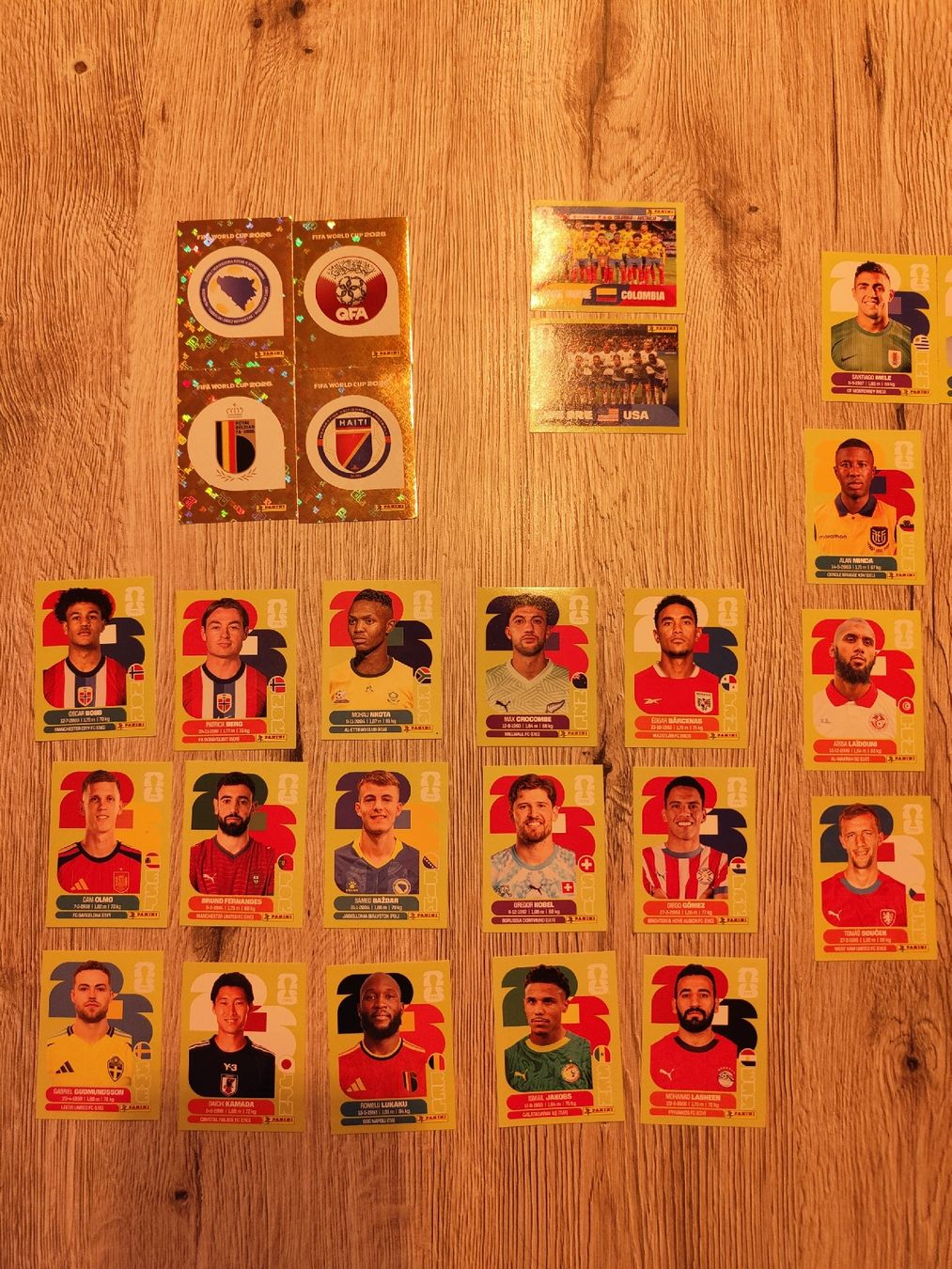 Sticker: panini sticker 2026 – Usato da Bischofszell venduto da Tribal.14 2