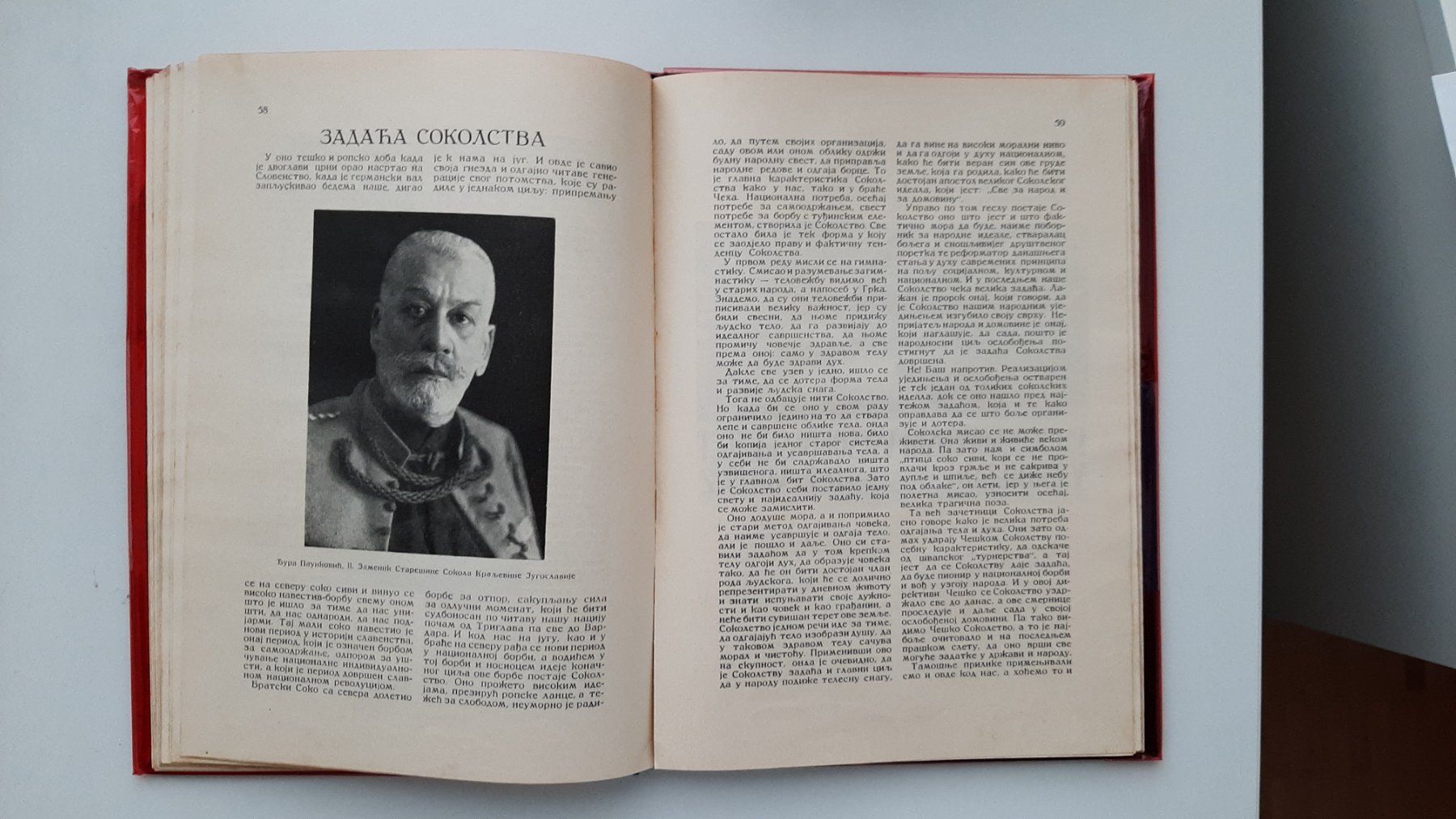 Libri: Soko Kraljevine Jugoslavije – Usato da Wettingen venduto da po250270 3