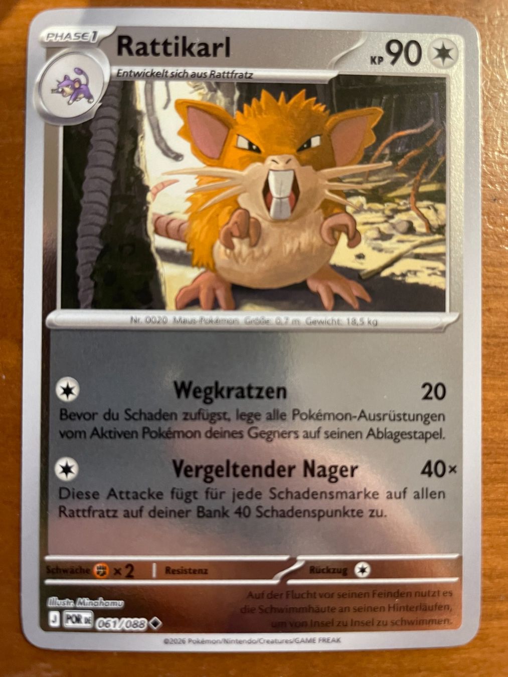 Pokémon Carte collezionabili: Pokemon Rattikarl Reverse (Versand gratis) – Nuovo (secondo la descrizione) da Chur venduto da Angerson