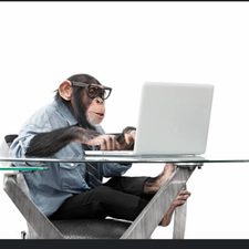 Profile image of Businessmonkey
