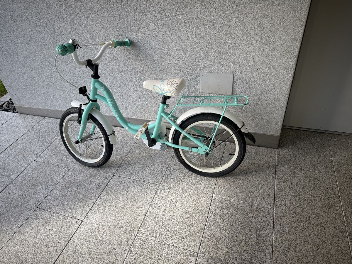 Biciclette: Kinder Velo ab 4 Jahre – Usato da Rotkreuz venduto da 74max 2